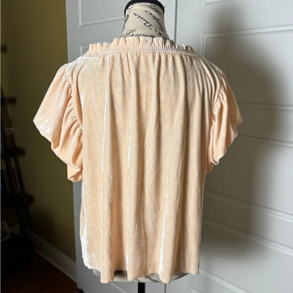 Free People Velvet Terese Top in Pink Tint Large